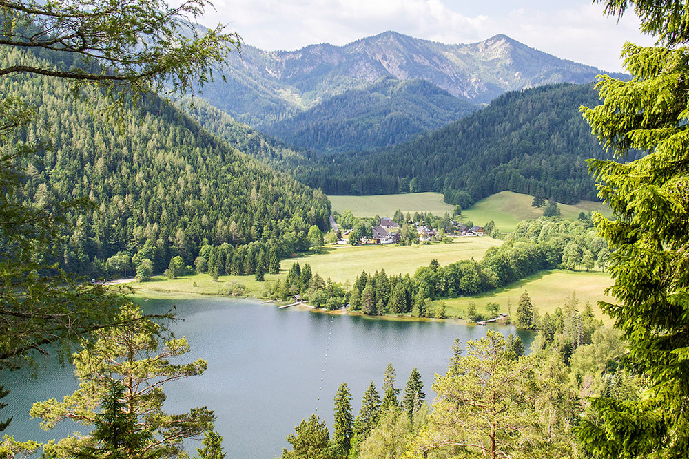 Blick vom Gemeindealpe-Wanderweg zu den Zellerhüten